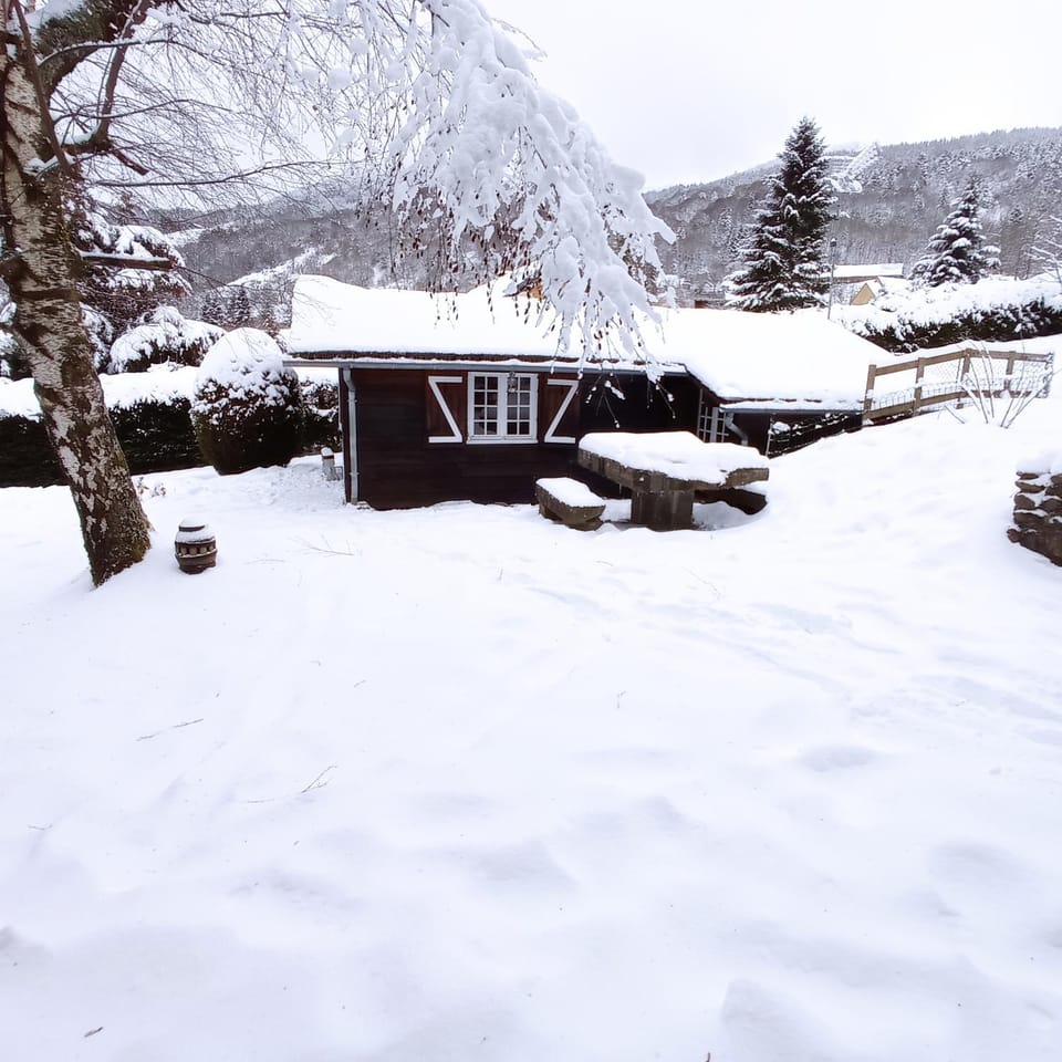 Chalet des cascades Chalet in Auvergne-Rhône-Alpes