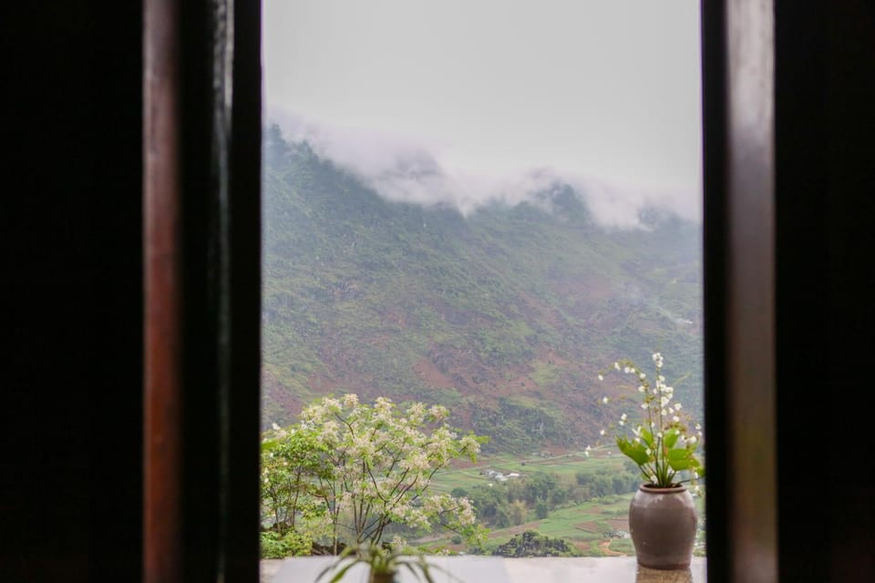 View (from property/room)