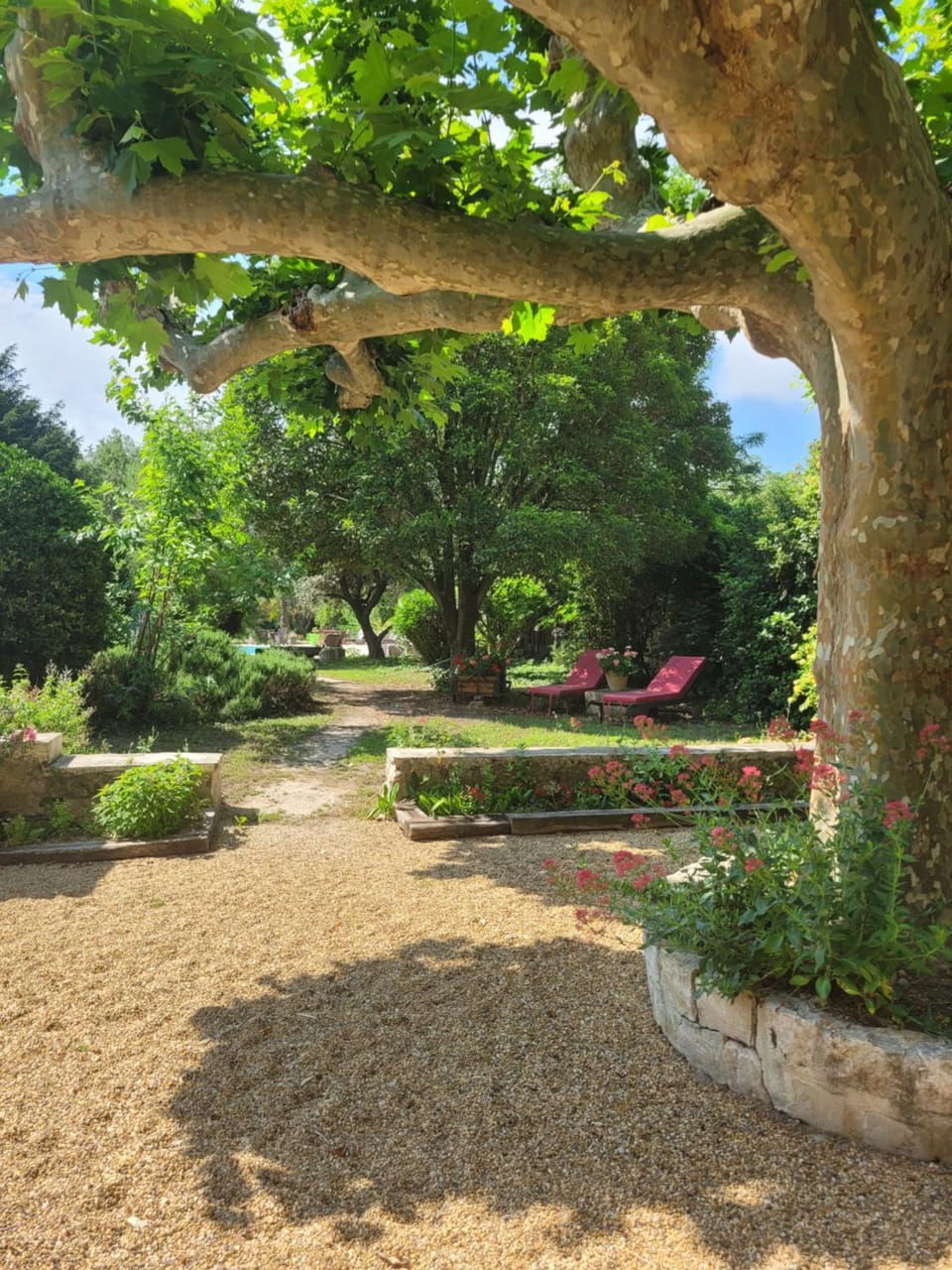 Mas Tareau Chambres d Hotes Bed and Breakfast in Arles