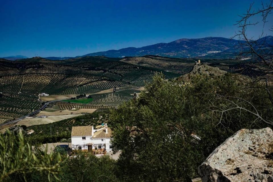 New Leaf Cortijo Apartment ,Moclin Apartment in Andalusia