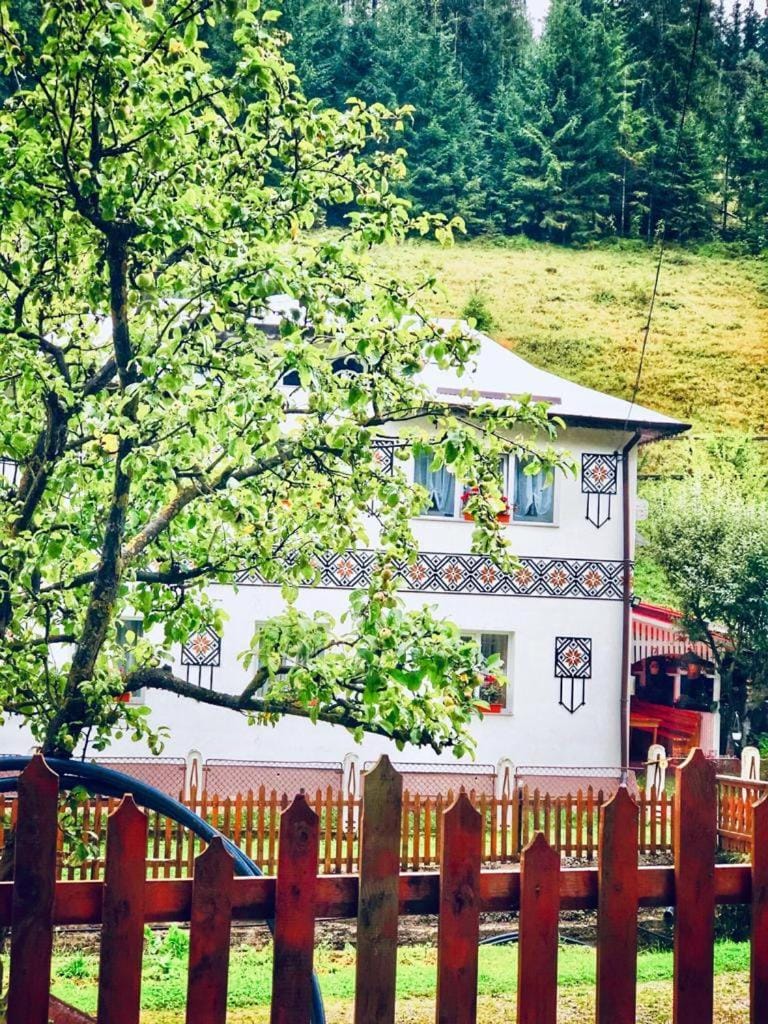 Casa Craciun Ciocanesti Bed and Breakfast in Romania