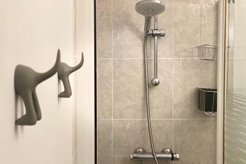 Beautiful appartment in the Vieille Ville d'Annecy at 200m from the lake Apartment in Annecy