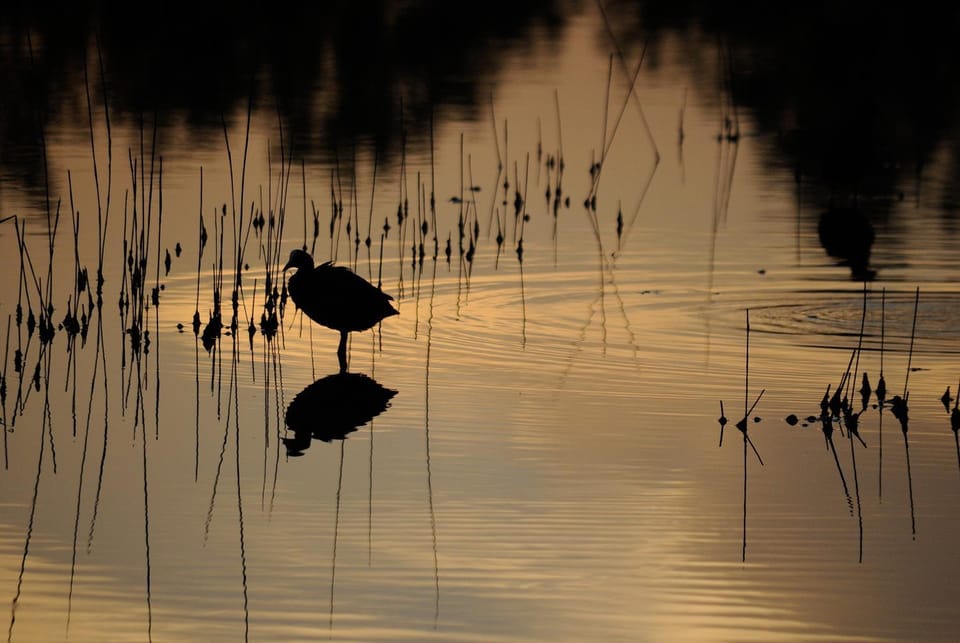 Natural landscape