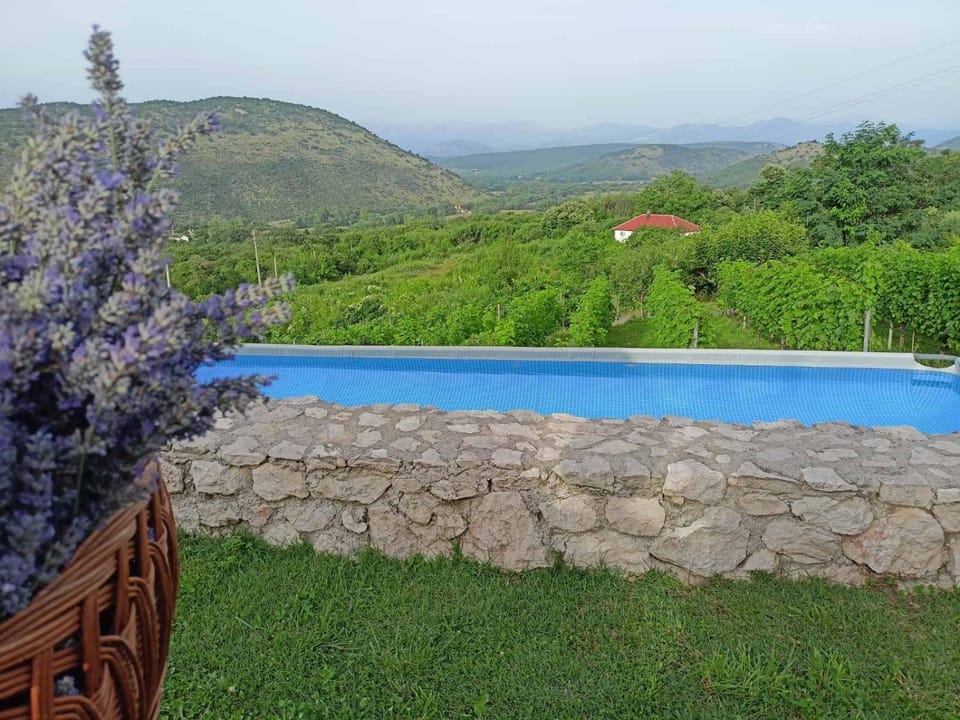 Green Silence - Iva Apartment in Podgorica Municipality, Montenegro