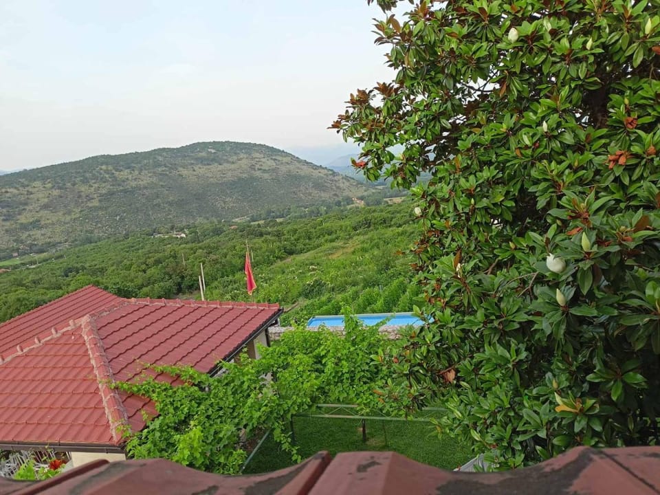 Green Silence - Iva Apartment in Podgorica Municipality, Montenegro