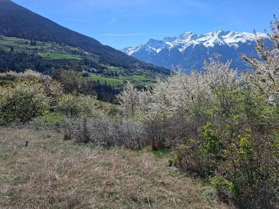 Haus18.3 Apartment in Trentino-South Tyrol