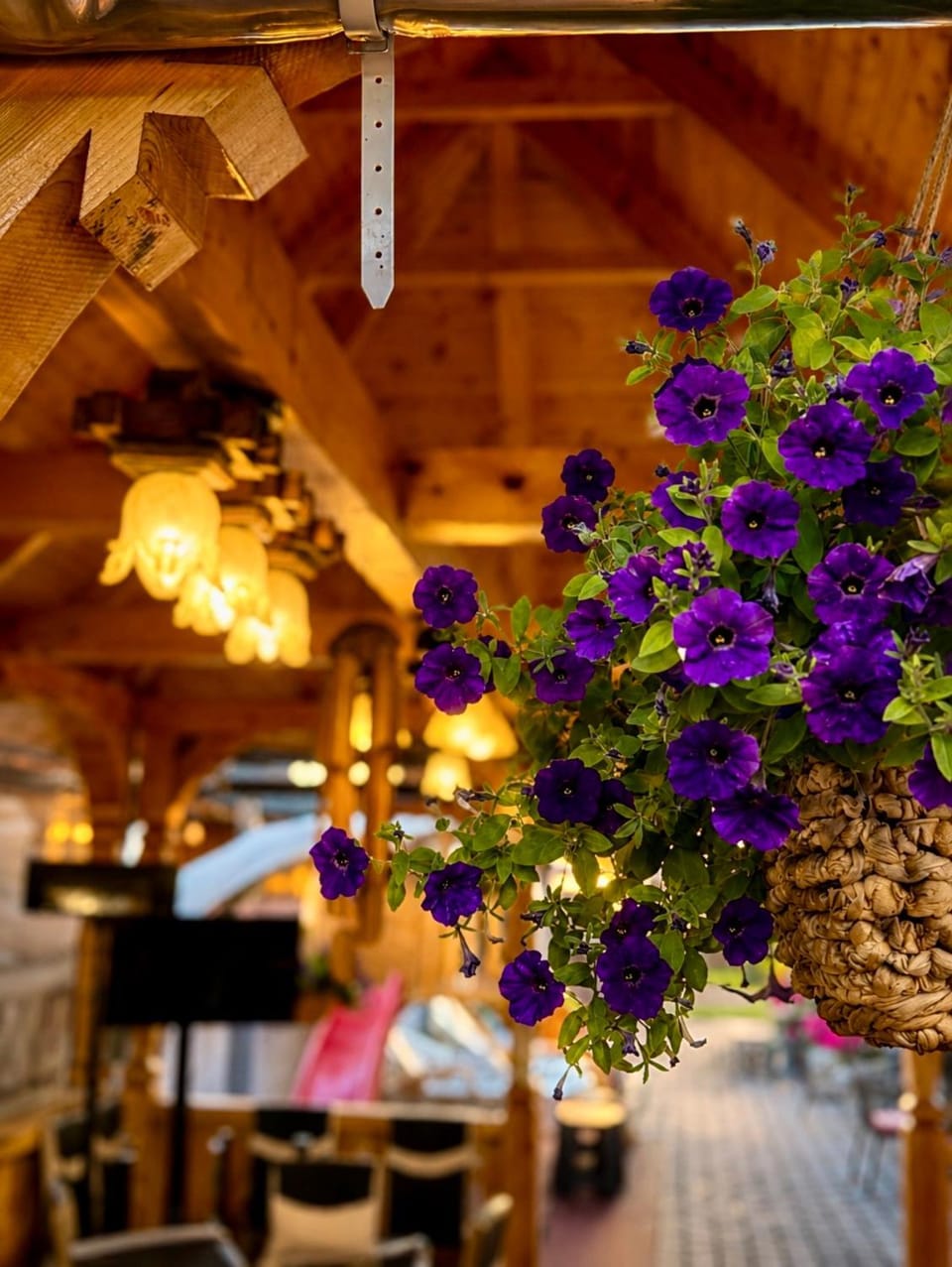 Casa Daiana Bed and Breakfast in Romania