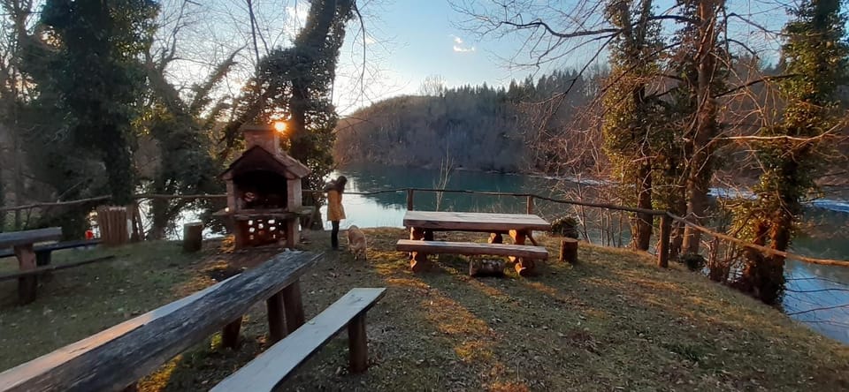 River house "Green butterfly" House in Croatia