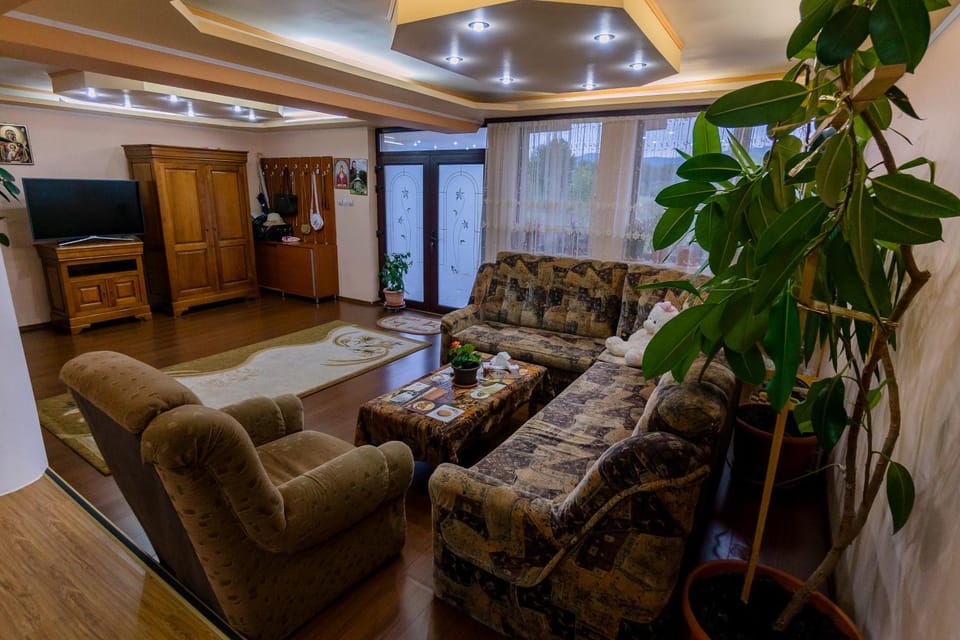 Casa NITU Villa in Romania