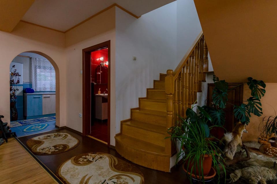 Casa NITU Villa in Romania