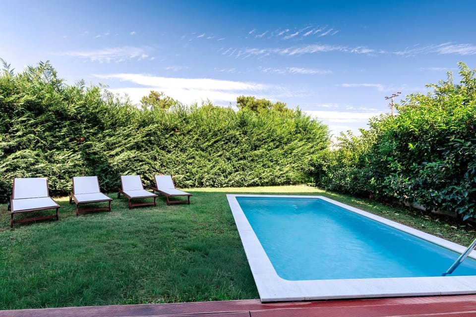 Natural landscape, Garden, Garden view, Swimming pool, sunbed