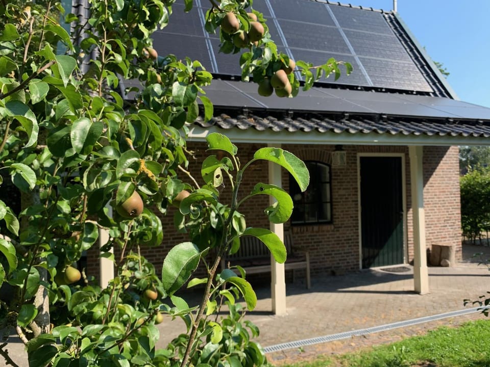 Facade/entrance, Garden