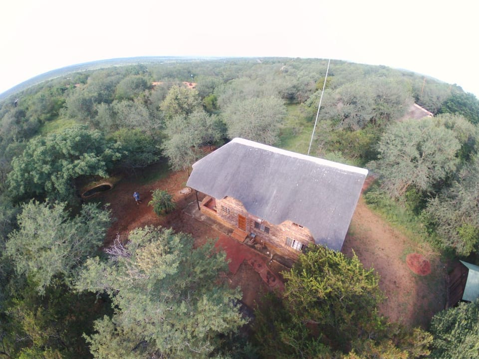 Bird's eye view, Garden