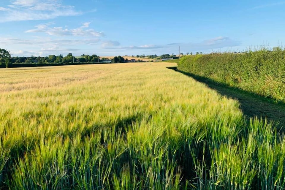Natural landscape