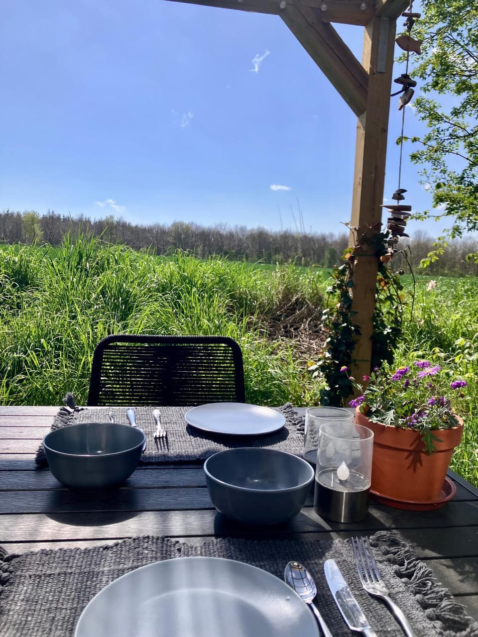 Day, Garden, Garden view