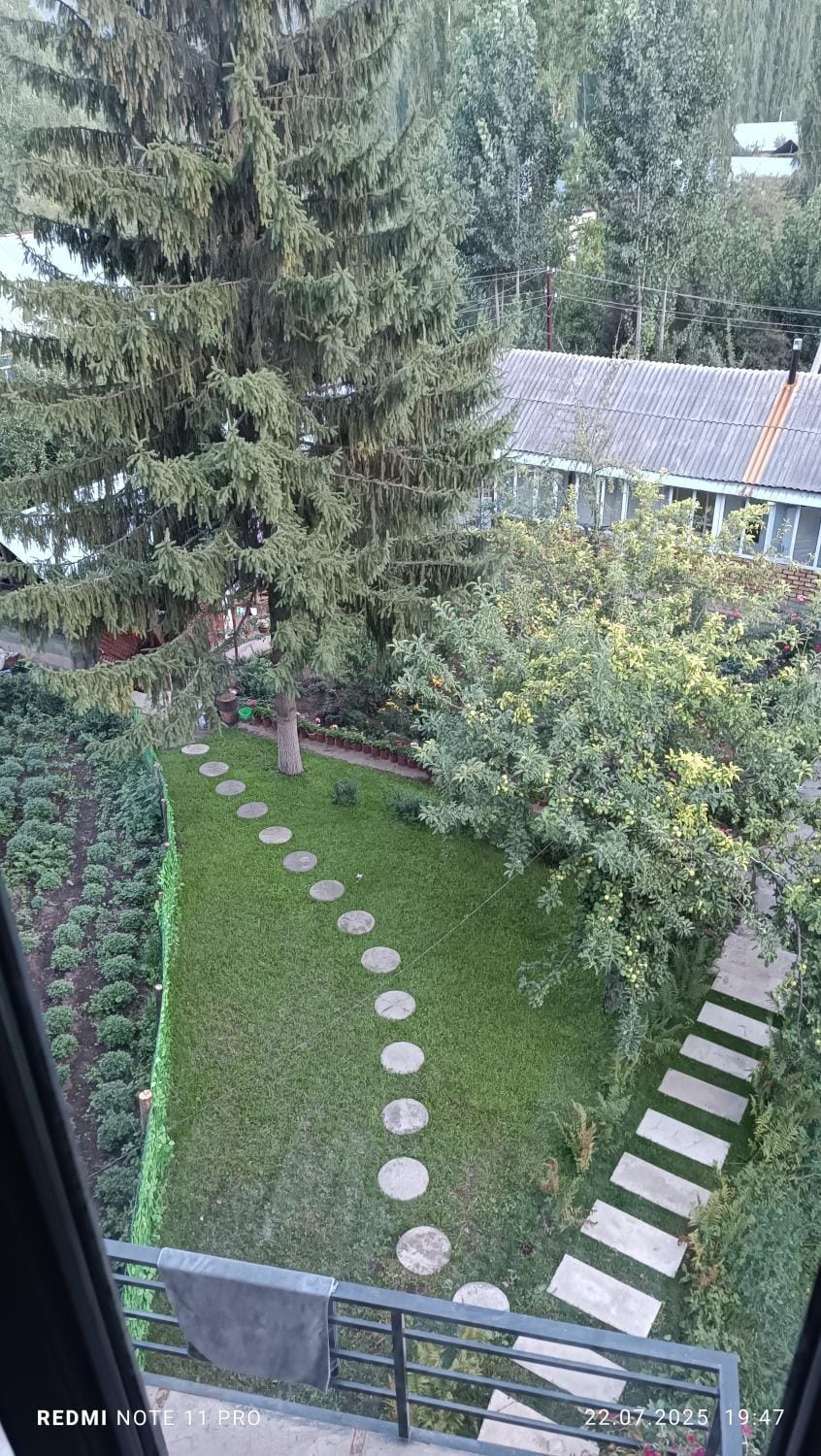 Day, Garden, Garden view