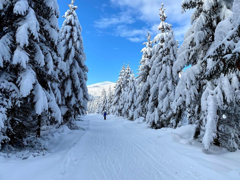 Natural landscape, Winter, Hiking