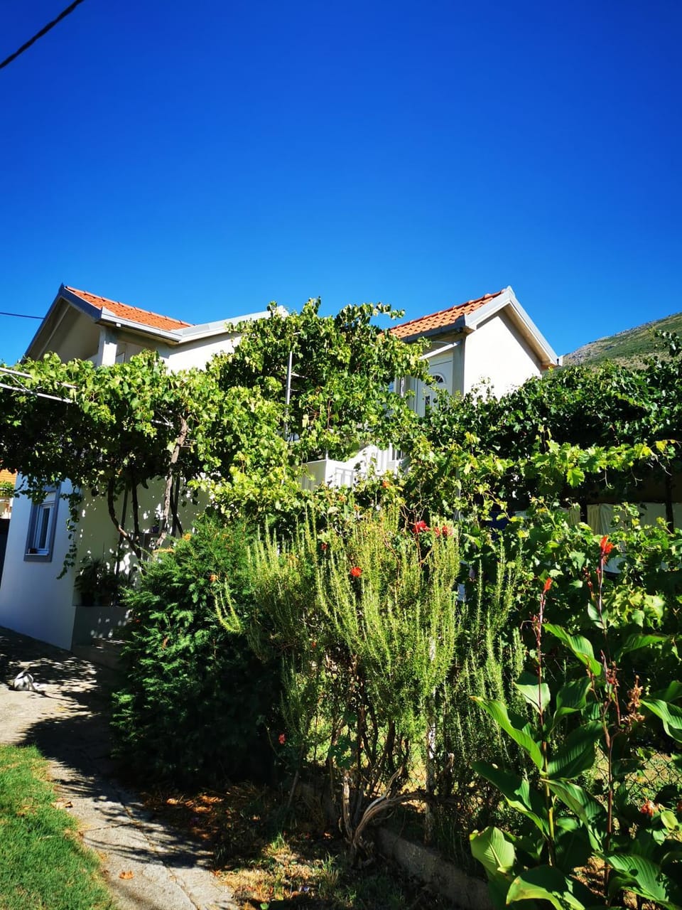 Apartman Miljanović Apartment in Dubrovnik-Neretva County