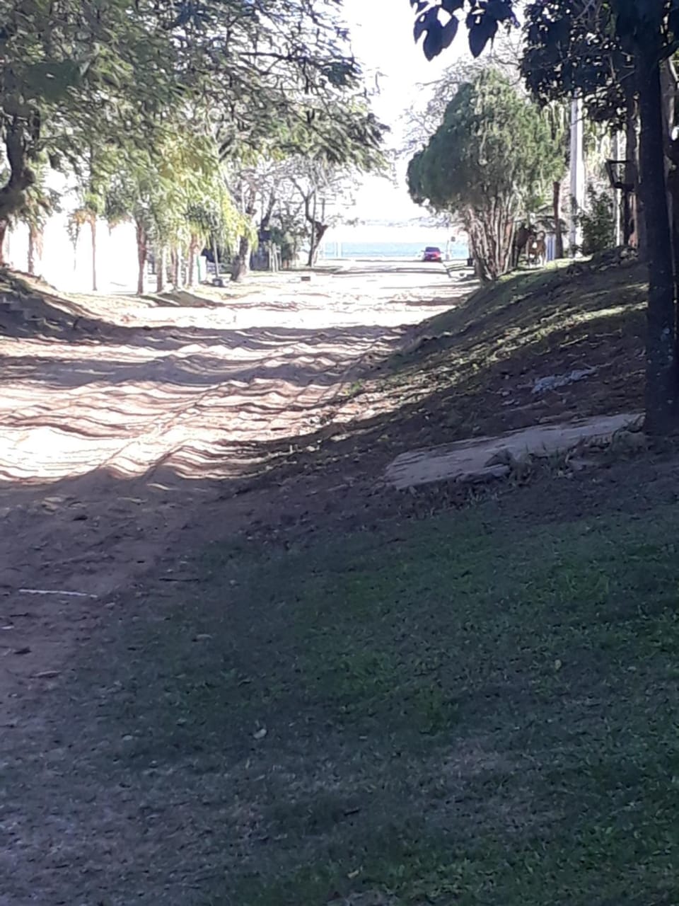 Natural landscape
