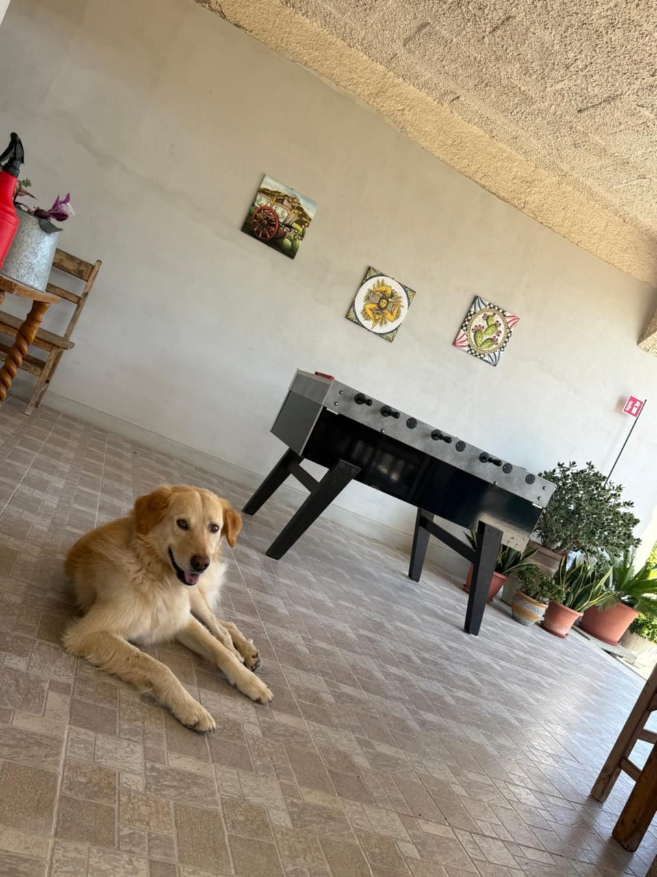 Piccolo Podere Apartment in Sicily