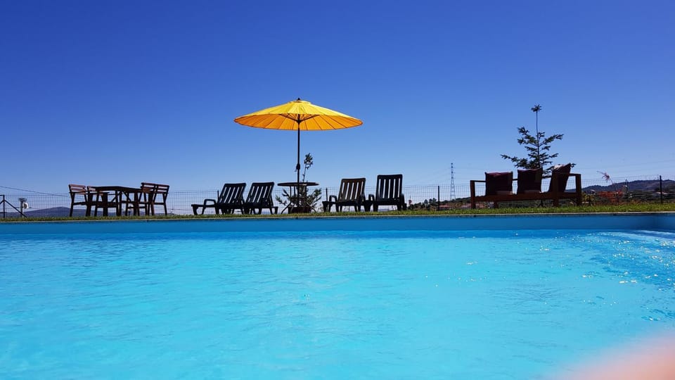 Pool view, Swimming pool, sunbed