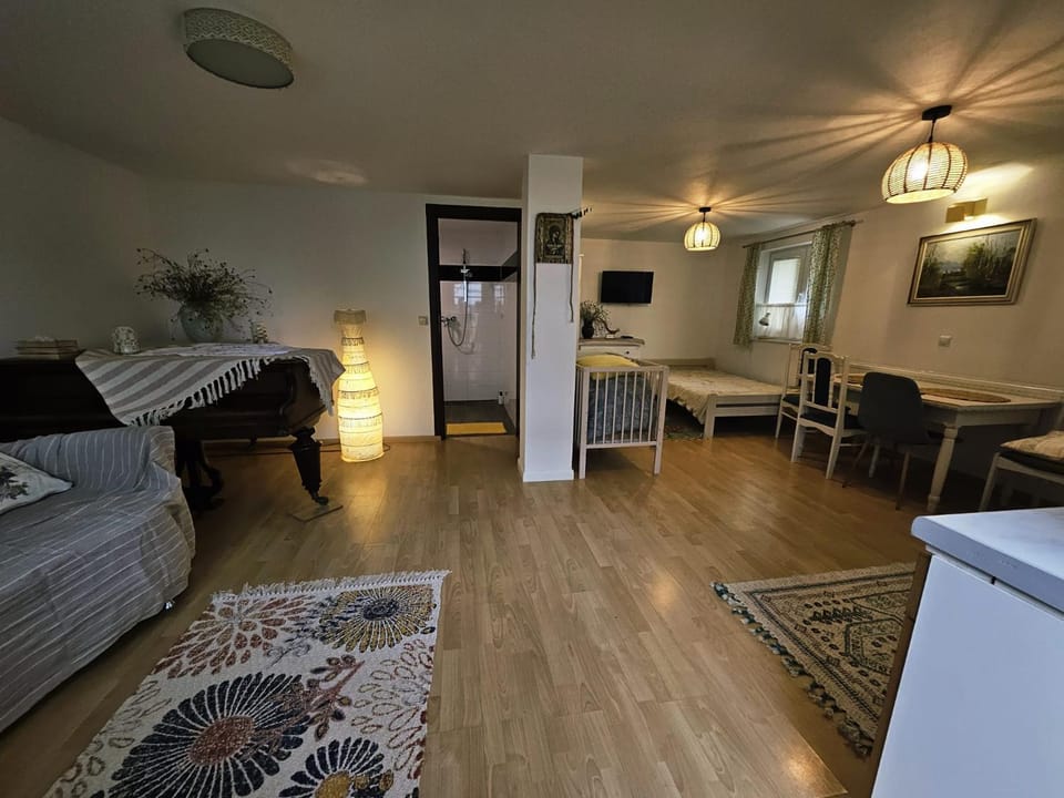 Living room, Photo of the whole room, Bedroom