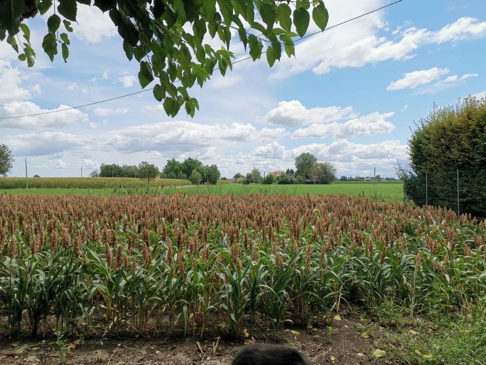 Natural landscape, View (from property/room)