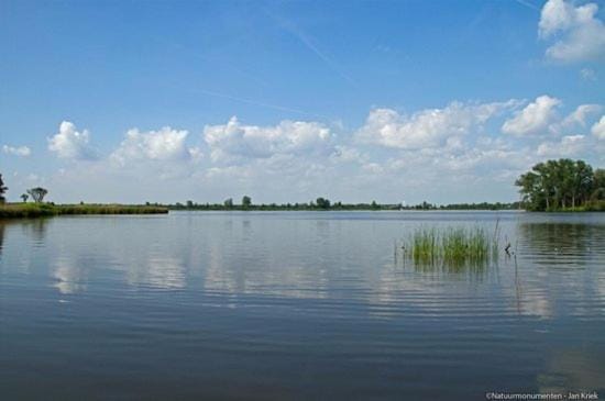 Froukje's B&B Bed and Breakfast in South Holland (province)