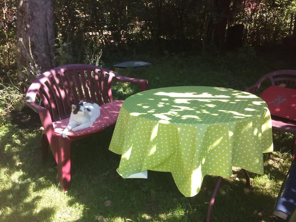 Property building, Garden