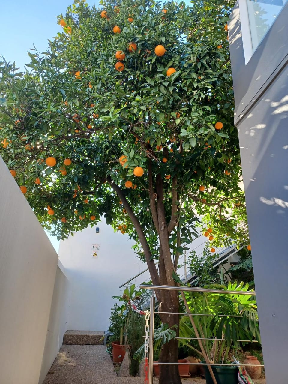 Property building, Spring, Day, Garden, Garden, Garden view