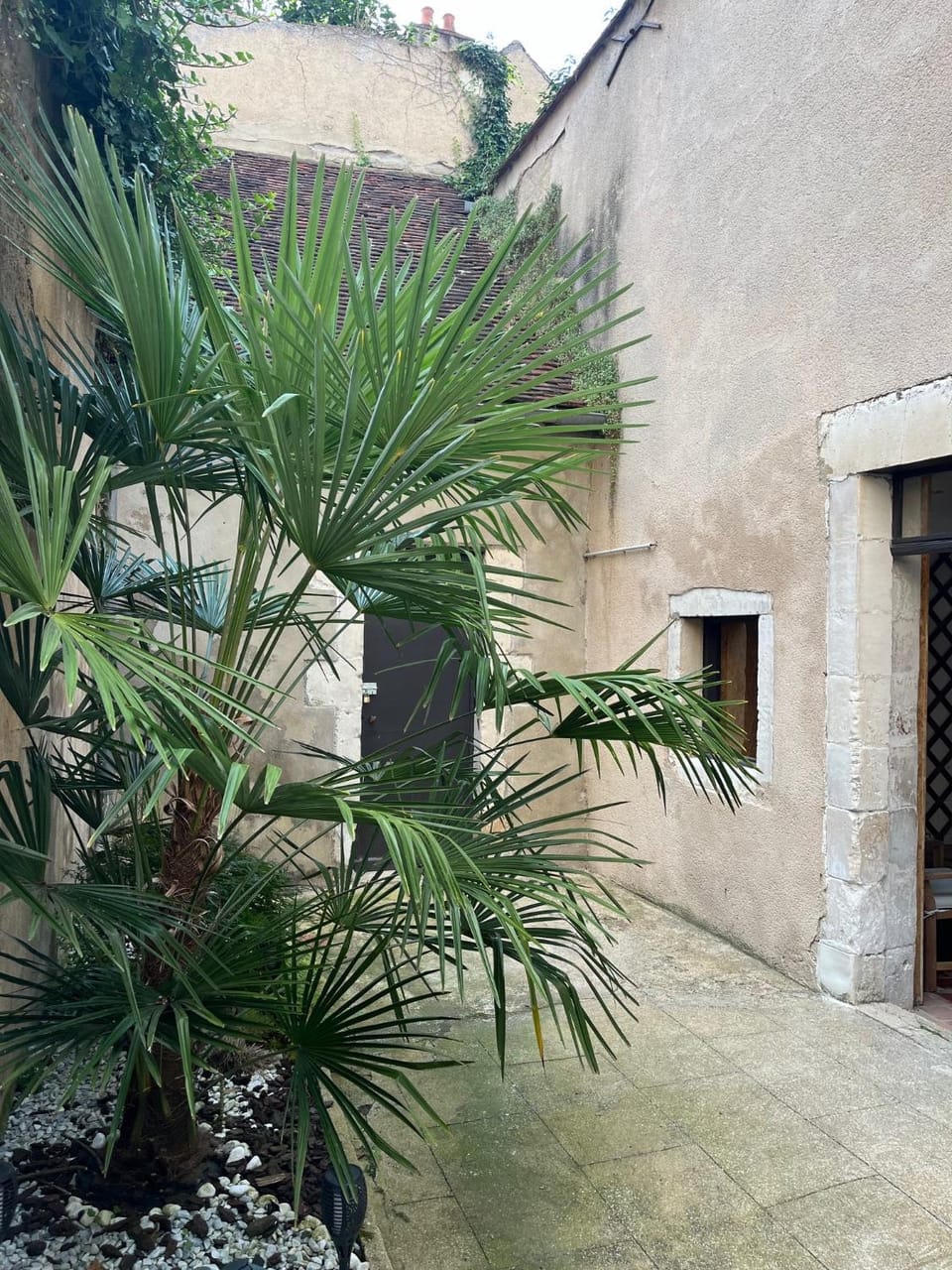 Patio, Garden, Inner courtyard view