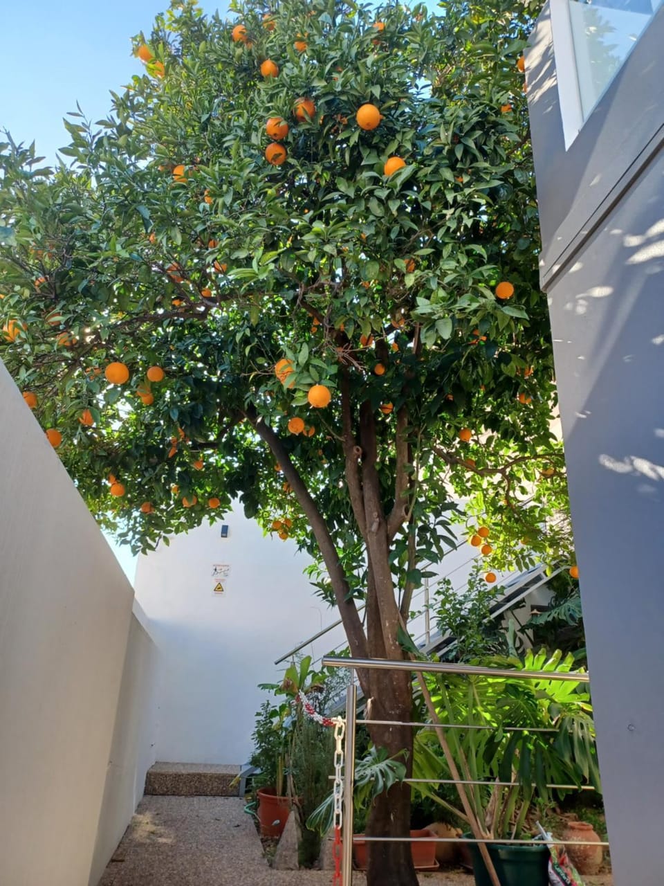 Property building, Spring, Day, Garden, Garden view