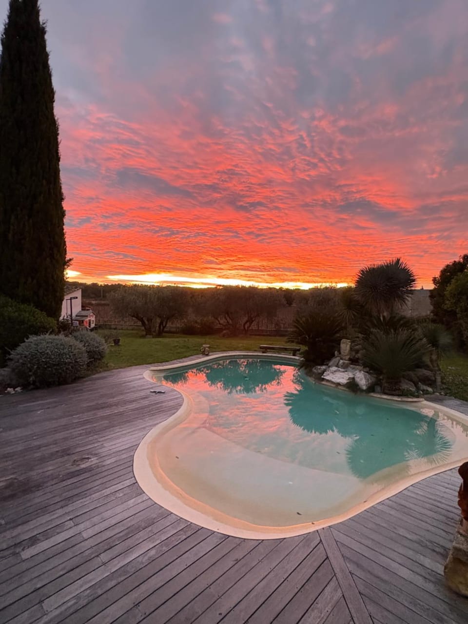 Natural landscape, Pool view, Sunrise