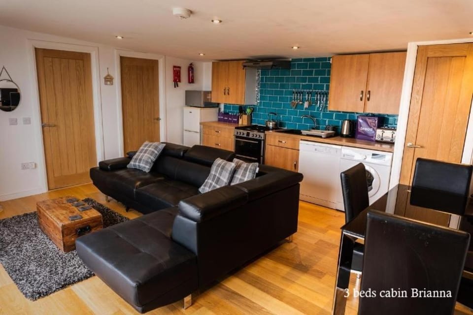 TV and multimedia, Kitchen or kitchenette, Living room, Dining area, oven, pet friendly, stove