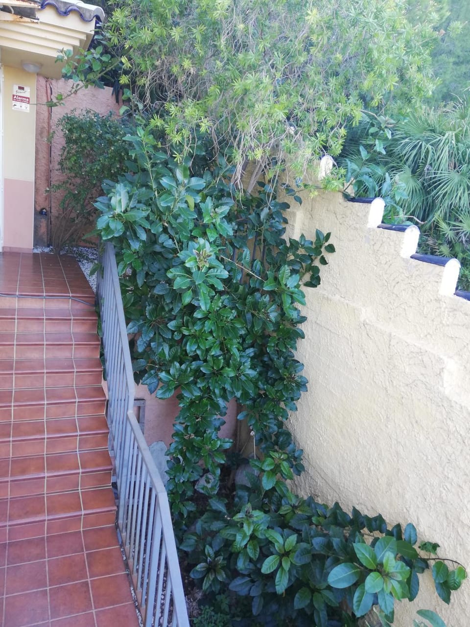 Sweet Suite Apartment in Peniscola