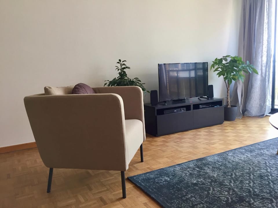 TV and multimedia, Living room