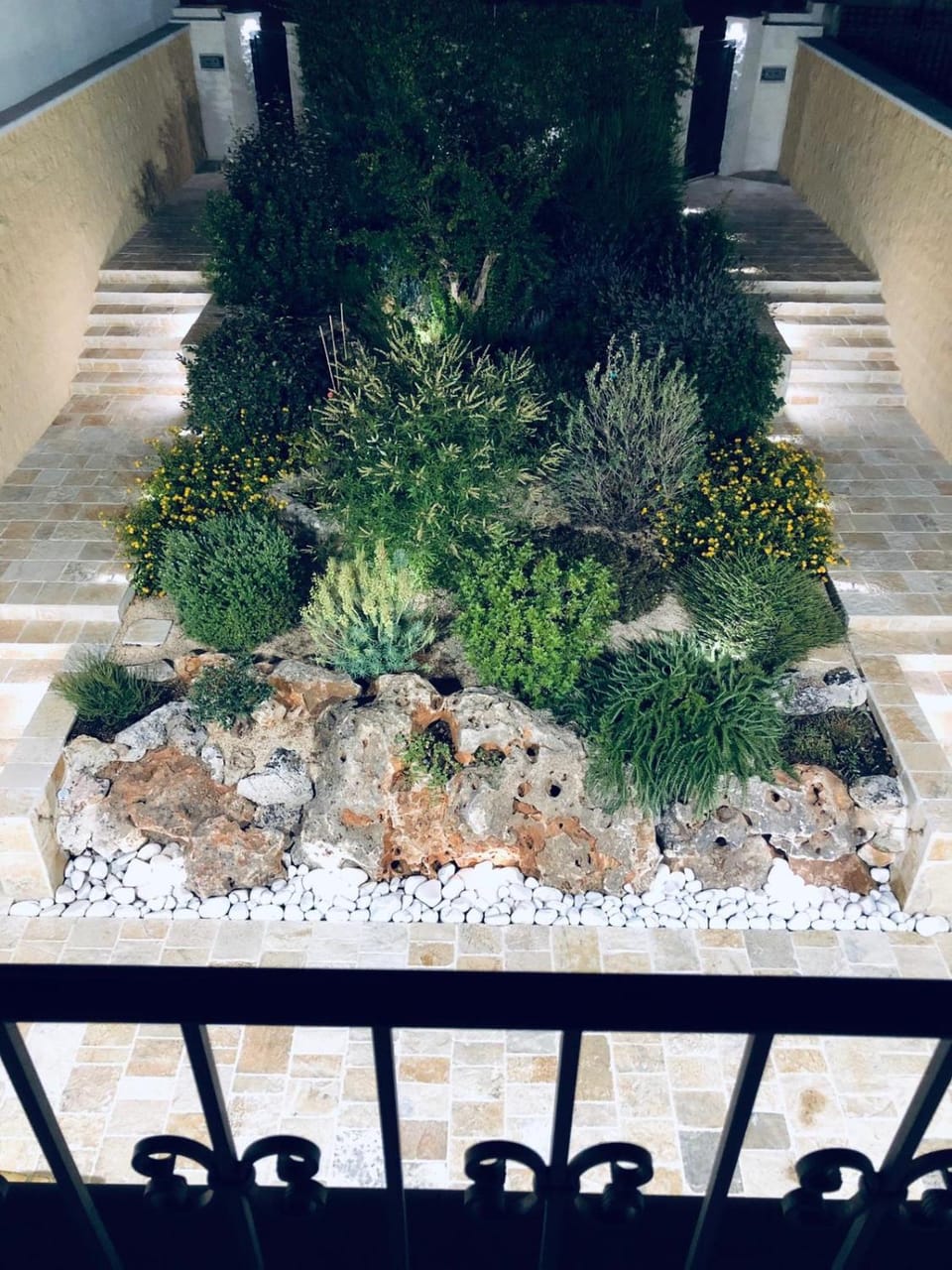 Garden view