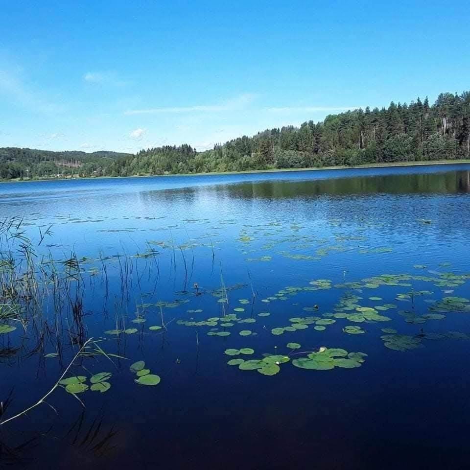 Lila Stuga -private jacuzzi &sauna,High Coast House in Sweden