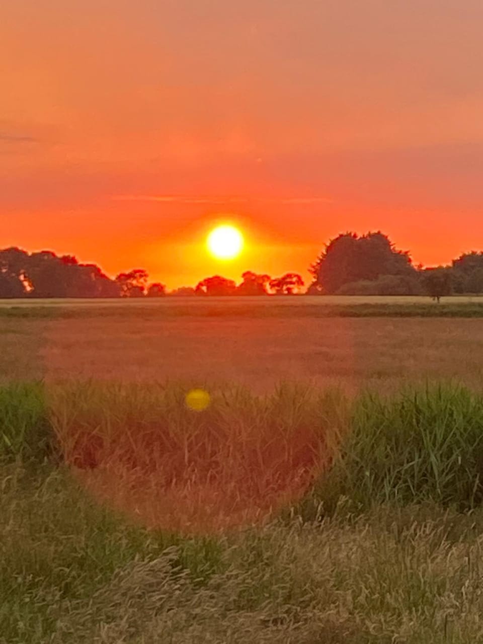 Natural landscape, Sunset