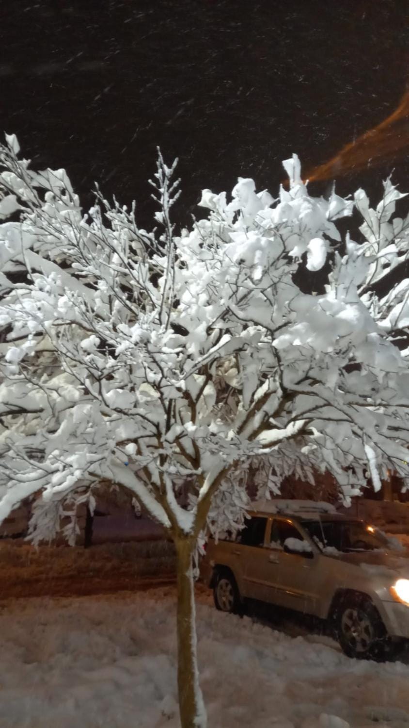 Winter
