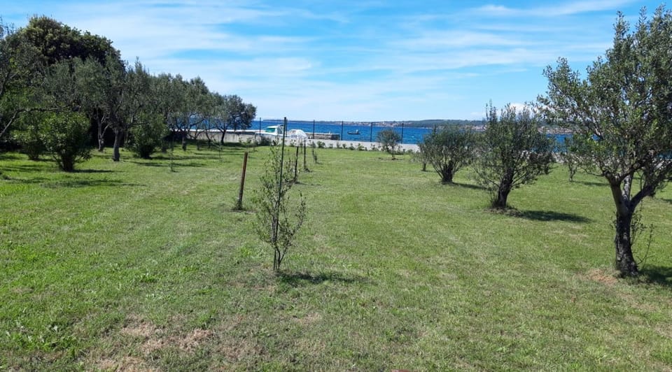 Inner courtyard view