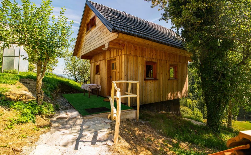 Property building, Day, Garden
