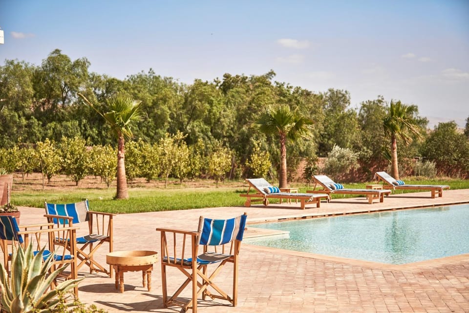 Garden, sunbed