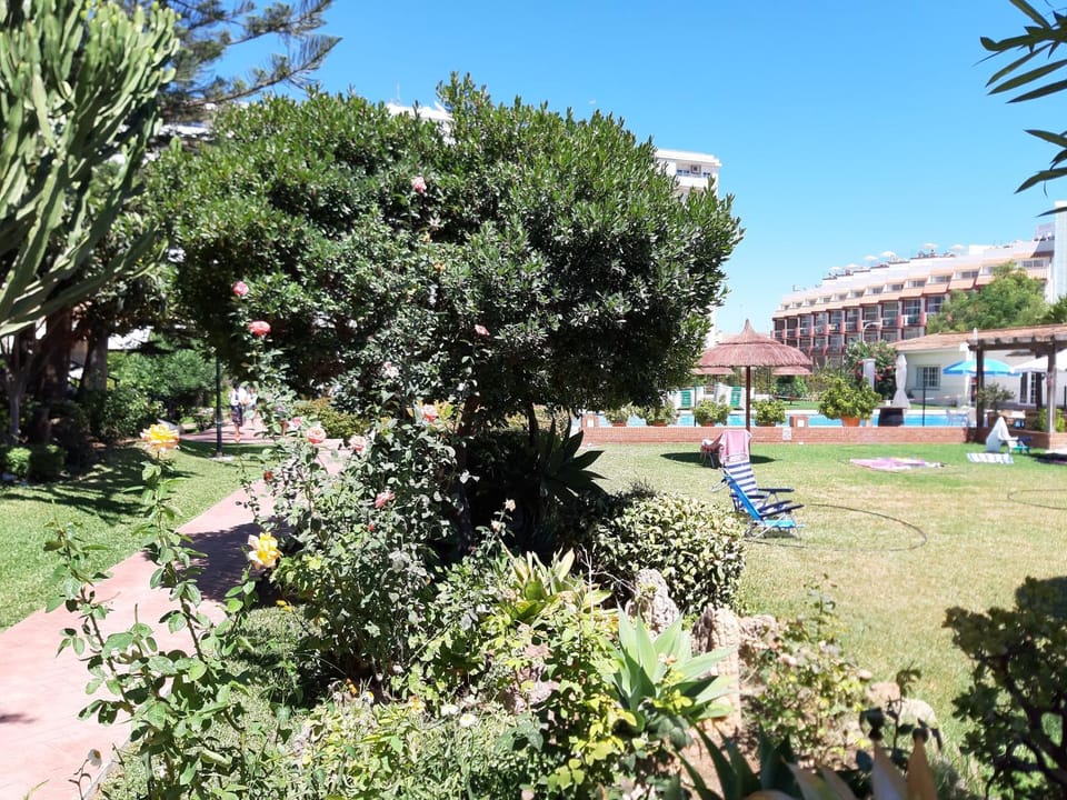 Carihuela Palace Apartment in Torremolinos