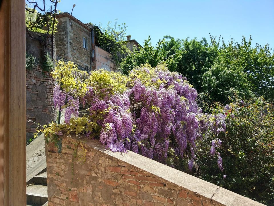 On site, City view, Garden view