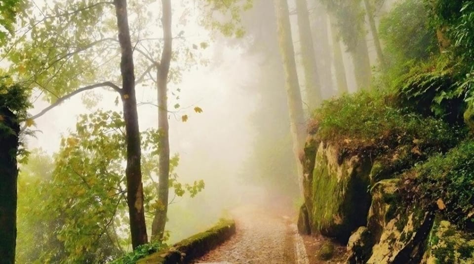 Nearby landmark, Natural landscape