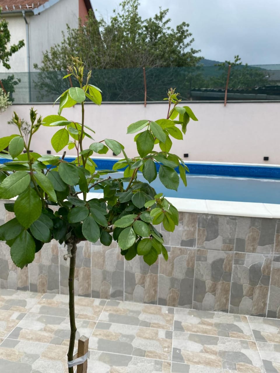 APARTMAN BUKULJA 2 Apartment in Serbia