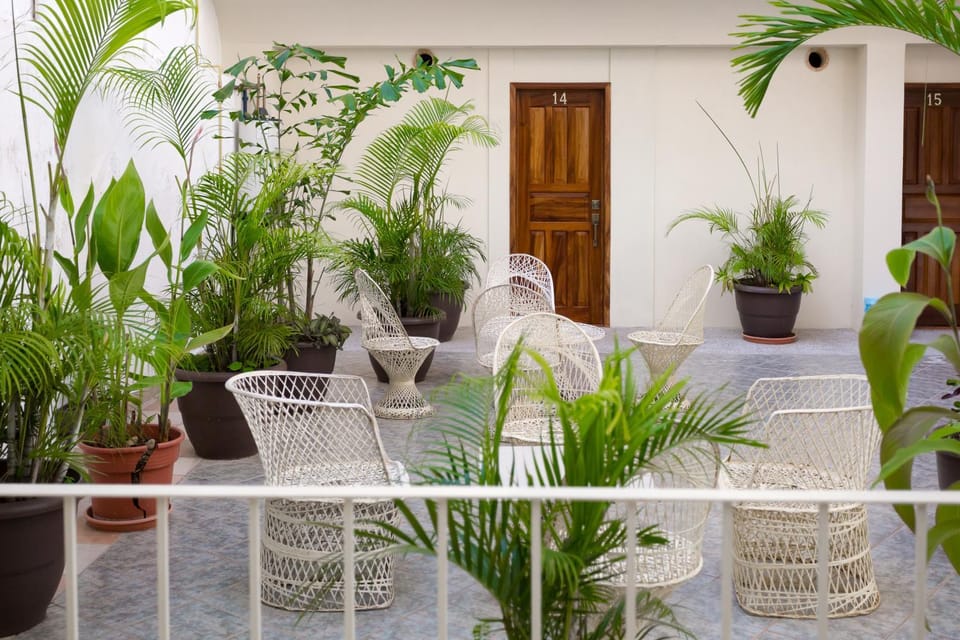 Facade/entrance, Nightclub / DJ, Balcony/Terrace, Lounge or bar