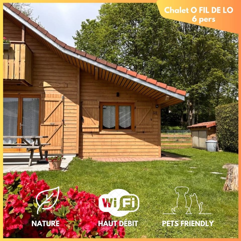 Chalet O FIL DE LO - wifi, BBQ, parking Chalet in Xonrupt-Longemer