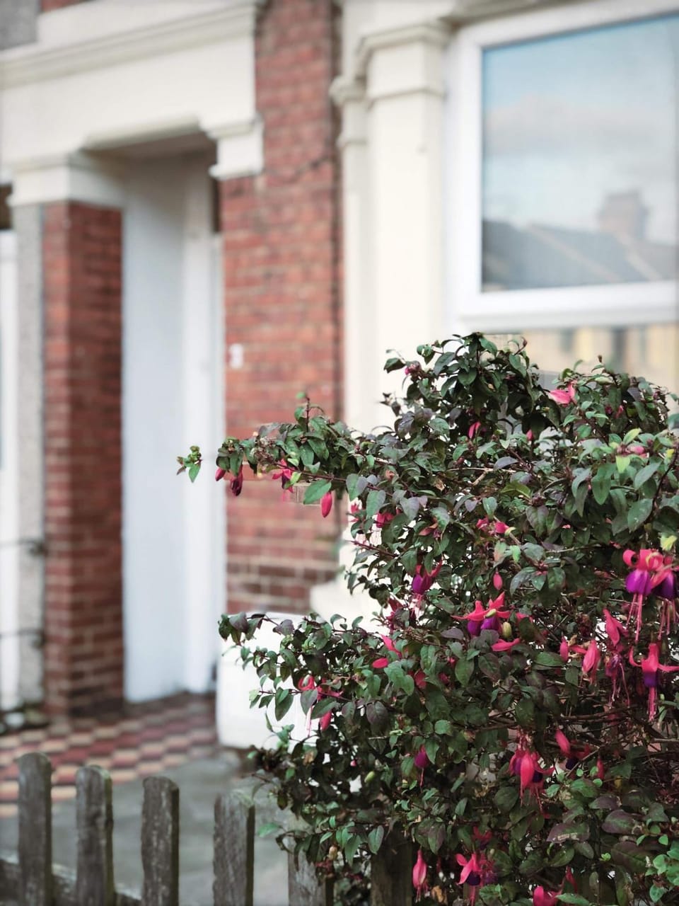 Facade/entrance, Garden